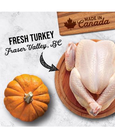Nutrience Subzero Limited Ingredient Cat Food - Turkey & Pumpkin Recipe - 4.5 kg (10 lb) Turkey & Pumpkin 4.5 kg (Pack of 1) - Buy Online on GoSupps.com