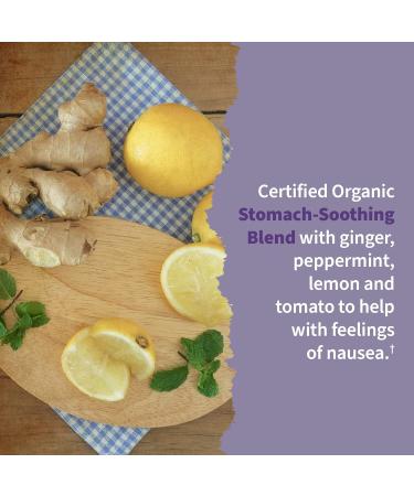 Garden of Life Organics Women s Prenatal Multivitamin with Vitamin D3 & Prenatal DHA Omega 3 Fish Oil - Minami Natural Prenatal 60 Softgels 180 Count (Pack of 1) Vitamin + Omega 3 Fish Oil 60 - Buy Online on GoSupps.com