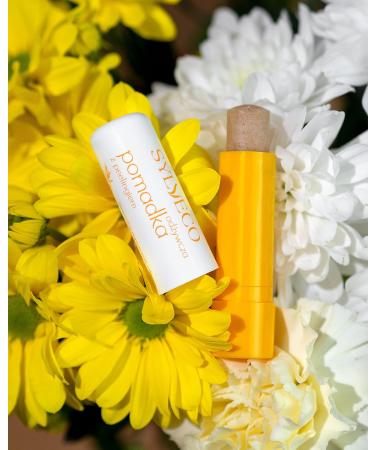 Sylveco Nourishing Lip Balm with Peeling 4.6g - Hydrating Smooth Lips | Shop Internationally - Buy Online on GoSupps.com