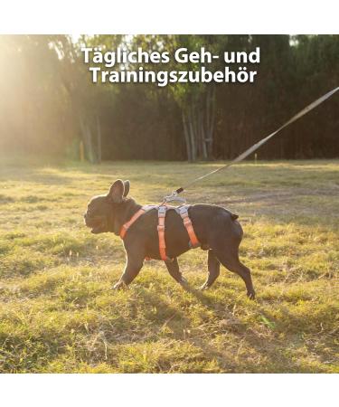 Huntboo Safety Harness for Small Dogs - Reflective & Adjustable Vest with Padded Handle - Break-Out & Panic Control - Orange (Pack of 1) - Buy Online on GoSupps.com