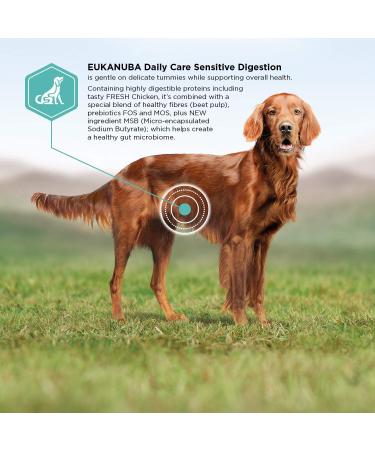 Eukanuba Adult Dog Daily Care Sensitive Digestion For All Breeds Chicken 2.5kg - Buy Online on GoSupps.com