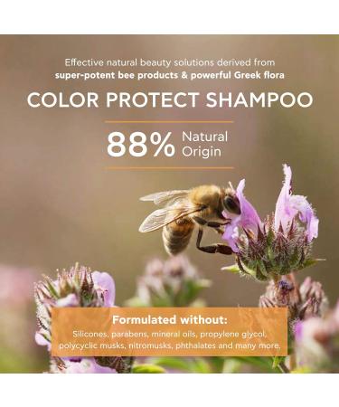APIVITA Color Protect Shampooing de protection des couleurs naturelles au tournesol et au miel 8 45 ml - Buy Online on GoSupps.com