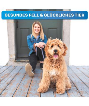 Bluepet Unterwolltoll Dog & Cat Brush for Long Hair | Undercoat Comb & Massage Effect | Medium-Large Size 2.0 Pink - Best for Fur Care - Buy Online on GoSupps.com