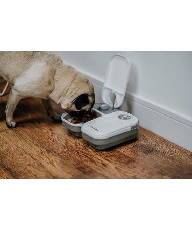 Cat Mate Timed Automatic Feeder Two bowl feeder - Buy Online on GoSupps.com