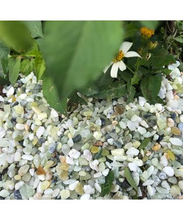 3lb Jade Bean Sand Stone Natural Top Dressing for Succulents & Cactus Bonsai Projects - Decorative Gravel for Terrarium & Fairy Garden - 5mm-8mm Light Green - Buy Online on GoSupps.com