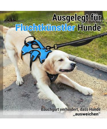 Rabbitgoo Escape-Proof Dog Harness for Medium Dogs - Anti-Pull Adjustable Breathable Padded Vest with Handle - XL Blue - Buy Online on GoSupps.com