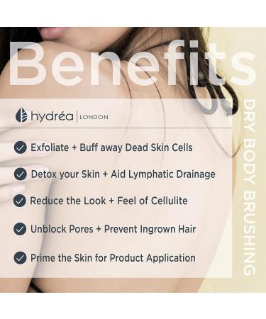 Hydr a London Professional Body Brush - Beech Wood & Cactus Bristles | FSC Certified | Eco-Friendly Travel Bag - Buy Online on GoSupps.com