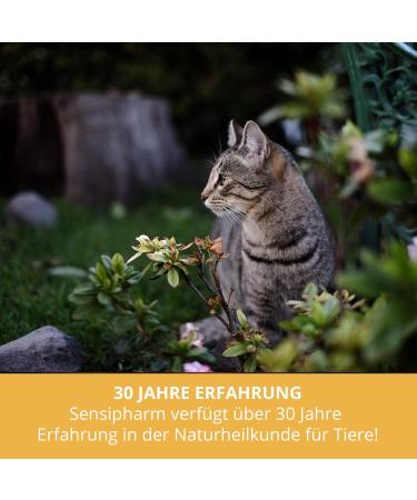 Buy Sensipharm Urologist AID - Bladder Formula for Pets | 90 Tablets for Cats Dogs Guinea Pigs & Rabbits | Kidney Stones & Bladder Infection Relief - Buy Online on GoSupps.com