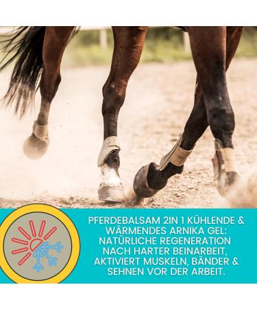 Refreshing Horse Balm 500ml Arnica Gel Extra Strength Gel I Horse Balm Tendons Ligaments & Muscles I Arnica Horse Ointment Cream Muscle Massage Gel for Horse Dog - Buy Online on GoSupps.com