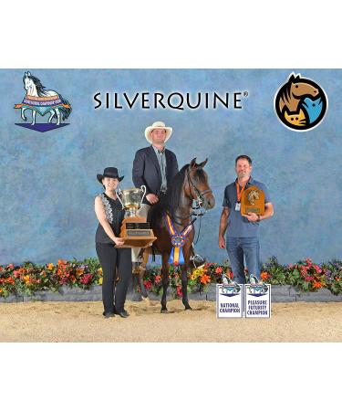 Silverquine Advanced Active Hydrogel Wound Care for Pets - Fast Healing & Protection from Cuts, Burns, and Irritation - Vet Recommended - 1.5oz - Buy Online on GoSupps.com