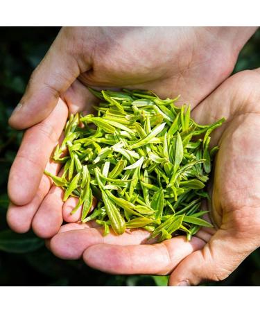 HQZM Offer Button Huangshan Maofeng Tea 440oz Green Tea Spring Tea For Rain 125g Bag - Buy Online on GoSupps.com