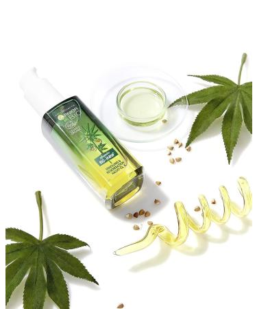 Garnier Bio Hemp Night Oil - Vegan Facial Care for Relaxation & Regeneration | 30 ml (Pack of 3) - Best for Stressed Skin - Buy Online on GoSupps.com