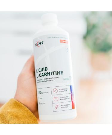Liquid L-Carnitine | 1200 mg | 0 Sugar & Calorie | Wild Berries | Stimulant-Free - Buy Online on GoSupps.com
