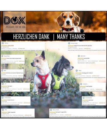 DDOXX Reflecting Airmesh Step-in Dog Harness | Adjustable Puppy Harness for All Sizes | Medium Yellow (Breast Size: 38-43 cm) - Buy Online on GoSupps.com