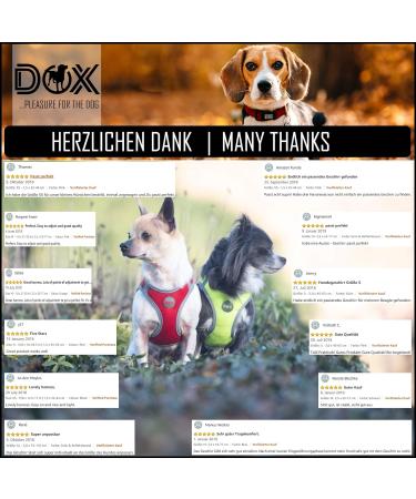 Ddoxx Reflecting Airmesh Step-in Dog Harness - Adjustable Green Puppy Vest for All Sizes (L) - Breast Size: 43-48 cm - Buy Online on GoSupps.com