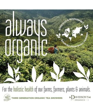Davidson's Organics, Quilan China Oolong, Loose Leaf Tea, 16-Ounce Bag - Buy Online on GoSupps.com