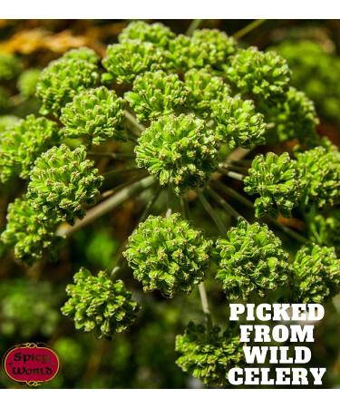 Spicy World Whole Celery Seeds 10oz Resealable Bag (Pack of 1) - Buy Online on GoSupps.com