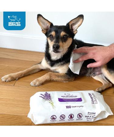 Coconut-Scented Moisturizing Pet Wipes for Dogs & Cats | Gentle Plant-Derived Formula | Extra Soft & Strong | 100 Count - Buy Online on GoSupps.com