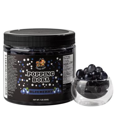 Popping Boba Pearls | 1LB (454g) | Bursting Tea Balls for Drinks Desserts Smoothies and Snack Toppings | Bubble Tea Tapioca Pearls Mix Kit (Blueberry)