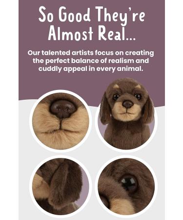 Living Nature Plush Sausage Dog Dachshund Puppy Brown 16cm - Adorable Soft Toy - Buy Online on GoSupps.com