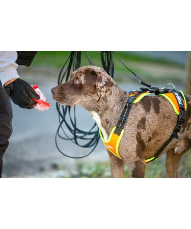 Julius-K9 Mantrailing & Outdoor Dog Harness S Size - Black | International Shipping Available - Buy Online on GoSupps.com