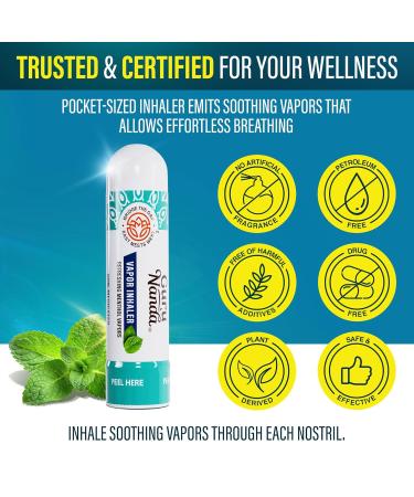 GuruNanda Vapor Inhaler Nasal Stick with Essential Oils for Soothing Relief Helps Clear Nasal Passages & Ease Stuffiness Non-Medicated 1 Count - Buy Online on GoSupps.com