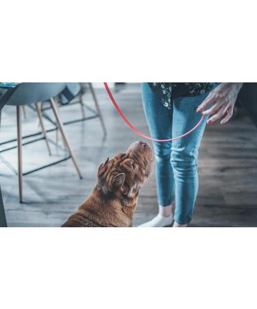 Vetocanis Red Dog Control Collar - 7 Years | Effective Training Solution - Buy Online on GoSupps.com