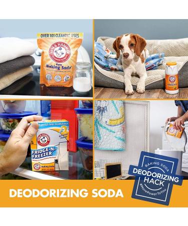 Arm & Hammer Baking Soda - 16 oz (2 Pack) | 2 Pounds Total - Buy Online on GoSupps.com