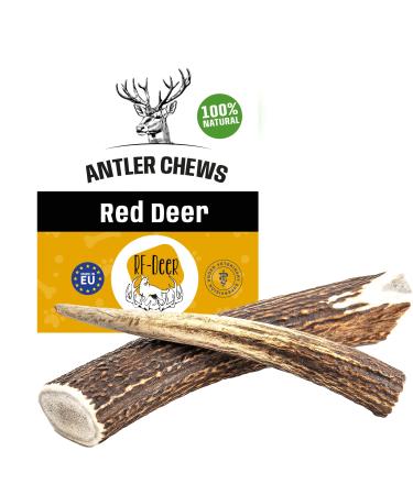 RF - Deer | Natural Deer Antler for Dogs | Long Lasting Chew Treat | Enjoyment and Dental care for your dog | HARD | 1 pcs | XXL | 161-200 g | 19-21 cm 2XL (Pack of 1) HARD