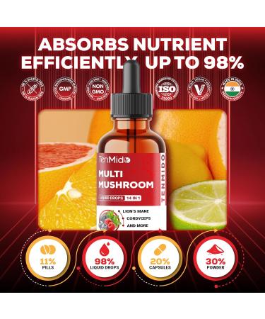Tenmido Mushroom Complex - Herbal Liquid Drops - 14in1 with Lions Mane Cordyceps Reishi Turkey Chaga Shiitake Ashwagandha Bacopa Gotu Kola and More - 30ml 1 Fl Oz - Buy Online on GoSupps.com
