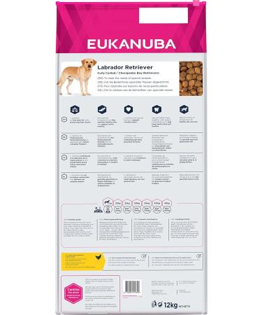 Eukanuba Breed Specific Labrador Retriever Dry Food - Premium Chicken Formula 12 kg | Optimal Nutrition for Healthy Labs - Buy Online on GoSupps.com