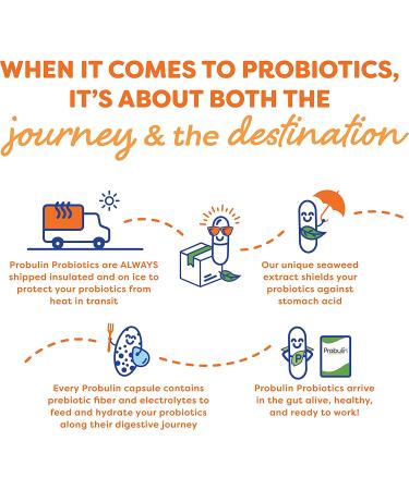 Probulin Total Care Probiotic 20 Billion CFU - 30 Capsules for Digestive Health - Buy Online on GoSupps.com