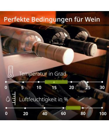 Buy ADE Digital Thermometer & Hygrometer for Home | Accurate Indoor Humidity Meter | Eco-Friendly Bamboo | International Shipping Available - Buy Online on GoSupps.com