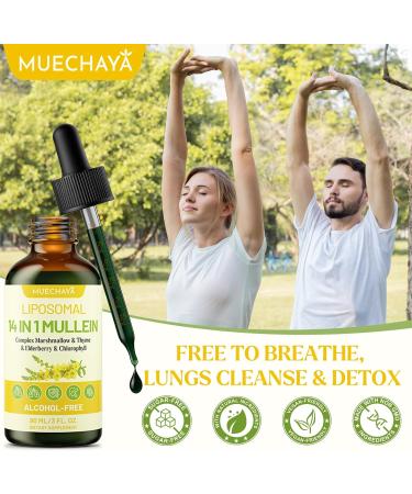 Mullein Drops For Lungs Liposomal 14 In 1 Mullein Leaf Extract For Lungs Mullein Drops with Elderberry Chlorophyll Thyme - for Lung Cleanse Detox Respiratory Immune Health 3 Fl 0Z Mint Flavor 3 Fl Oz (Pack of 1) - Buy Online on GoSupps.com