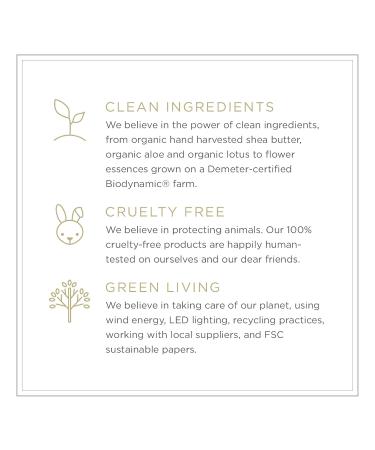 Zents Eau de Parfum (Petal) for Women & Men | Long-Lasting Clean Fragrance with Lily of the Valley Rose & Lemon | Floral & Fresh Scent | 1.69 oz Petal Fragrance - Buy Online on GoSupps.com