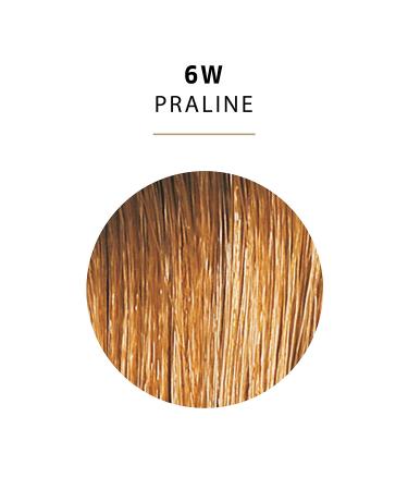 Wella Color Charm 006W Praline Permanent Liquid Hair Color for Gray Coverage - Buy Online on GoSupps.com