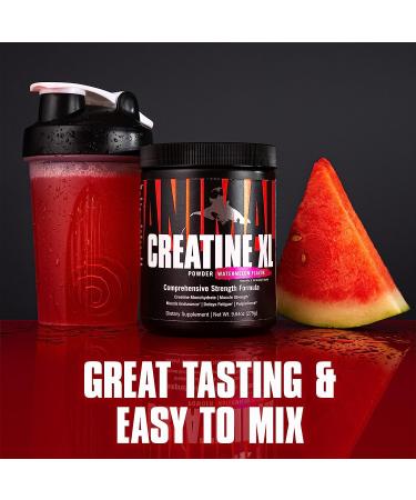 Animal Creatine XL Powder with PurpleForce & Senactiv - Enhanced Creatine Monohydrate Supplement for Endurance and Recovery - Watermelon Flavor - 9.84 oz - Buy Online on GoSupps.com