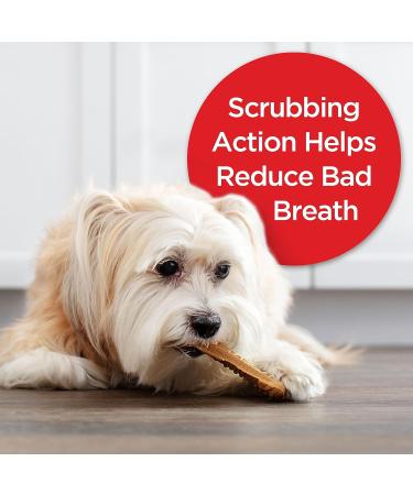 Milk-Bone Original Brushing Chews 48 Mini Dental Dog Treats - Daily Oral Care for Dogs - Buy Online on GoSupps.com