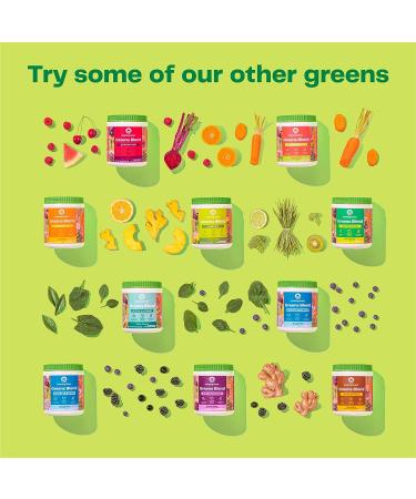 Amazing Grass Greens Blend Superfood for Immune Support: Super Greens Powder Smoothie Mix with Organic Spirulina  Chlorella  Beet Root Powder  Digestive Enzymes & Probiotics  Original  30 Servings - Buy Online on GoSupps.com