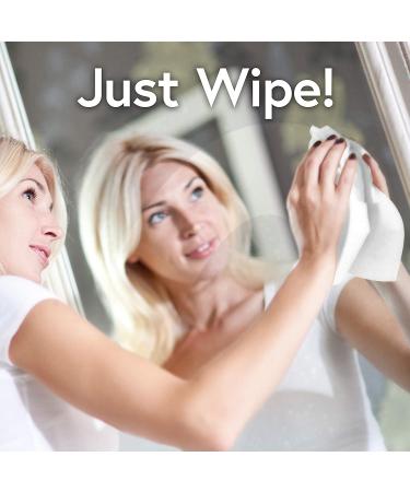 Windex Original Glass and Surface Pre-Moistened Wipes 38 Count (Pack of 6) - Effective Cleaning Solution - Buy Online on GoSupps.com