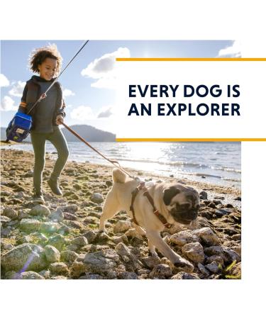 RUFFWEAR Grip Trex Boots for Dogs - Black 3.25 Inch | Durable & Comfortable International Shipping - Buy Online on GoSupps.com