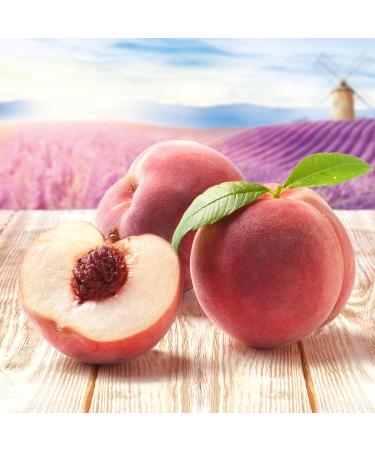 Moulin de Valdonne White Peach Syrup for Refreshing Drinks Cocktail with or without Alcohol 2 Bottles 70 cl - Buy Online on GoSupps.com