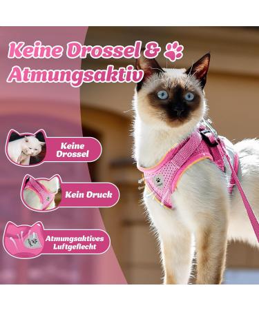 Supet Cat Dishes & Breaking-Safe Leash - Soft Vest for Kittens & Small Dogs (Chihuahua) - Pink Size L (Chest 38-43 cm) - Buy Online on GoSupps.com