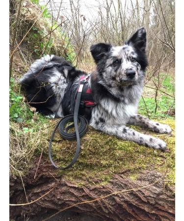 Twinkys Dog Style Tow Leash - 15m Black 20mm Wide for Dogs Up to 50kg - Made in Germany - Buy Online on GoSupps.com