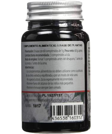 Erlinger Lifting 19 - Premium Quality Lifting Equipment for Global Shipping | Shop Now - Buy Online on GoSupps.com