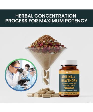 Pure Prana Ayurvedic Heart Health Supplement - Arjuna Bark & Hawthorn with CoQ10 Beet Root & Grape Seed for Cardiovascular Support & Blood Pressure - Vegan Capsules - Non-GMO Gluten Free - Buy Online on GoSupps.com