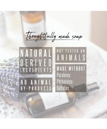 Citrus & Lavender Natural Body Wash - Made in USA - Calming & Comforting Shower Gel for Women & Men - Paraben-Sulfate-Free - 16 Fl Oz (Pack of 2) - Buy Online on GoSupps.com