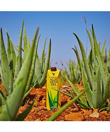 100% Pure Forever Aloe Vera Gel 1L - Sugar-Free No Preservatives | Premium Quality Health Drink - Buy Online on GoSupps.com