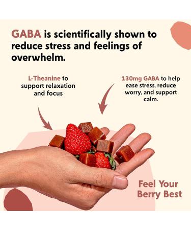 PYM Berry Mood Chews Support for Stress Worry & Overwhelm 120 Count | 130mg GABA 90mg L-Theanine | Vegan Non-GMO Gluten-Free No Added Sugar | All-Natural Mood Balance Supplement Made in USA Berry 20 Count (Pack of 6) - Buy Online on GoSupps.com