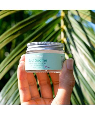 WildMint Spot Soothe Natural Spot Treatment Gel | Reduces Breakouts Scars & Irritation | Tea Tree Healing Serum for Acne Prone Skin Blemishes Redness & Ingrown Hairs | Cruelty-Free UK Skincare 30ml - Buy Online on GoSupps.com